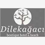 dilekagaci